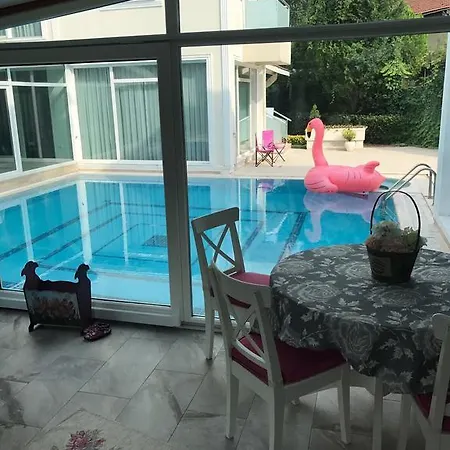 Guzide Villa Sapanca