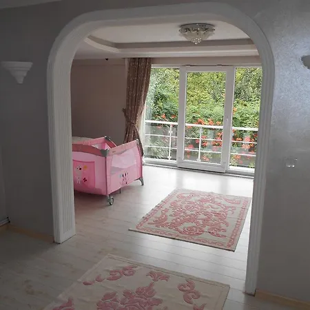 Guzide Villa Sapanca